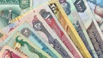 Сенаторы предложили ЦБ развивать международные расчеты в рупиях, дирхамах и риалах